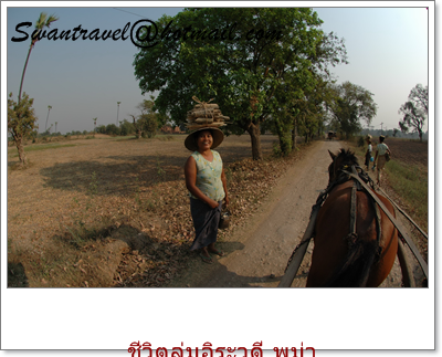 ทัวร์ต่างประเทศ พม่า2-20100525ชีวิตลุ่มอิระวดี